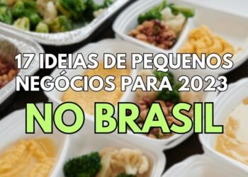 Ideias de Pequenos Negócios para 2023 no Brasil
